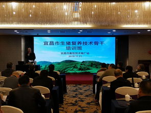 科技賦能，精準施策——市畜牧技術推廣站舉辦專題培訓班，全力助推生豬復產保供給